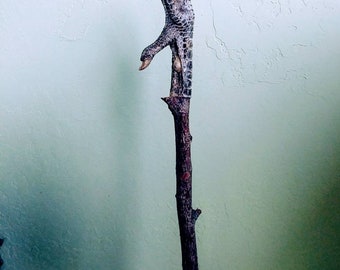 Chicken foot back scratcher