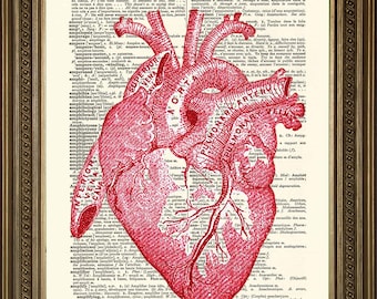 definition frame size drawing  Anatomy Etsy