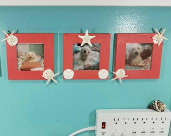 Nautical Beach Picture Frames