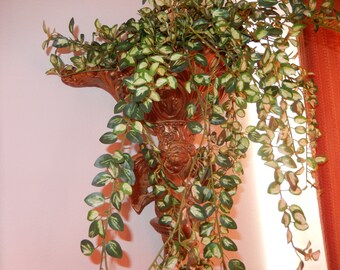 HAND PAINTED CHERUB Plant Wall Hanging