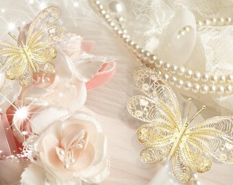 The Original Signature Collection