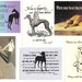 Greyhound Dog Sympathy Card Assortment - set of 8, with envelopes