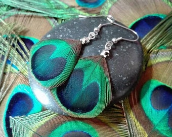 Earrings Peacock feather eyes