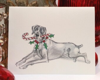 Boxed Weimaraner Holiday Cards