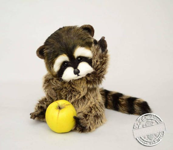 raccoon teddy