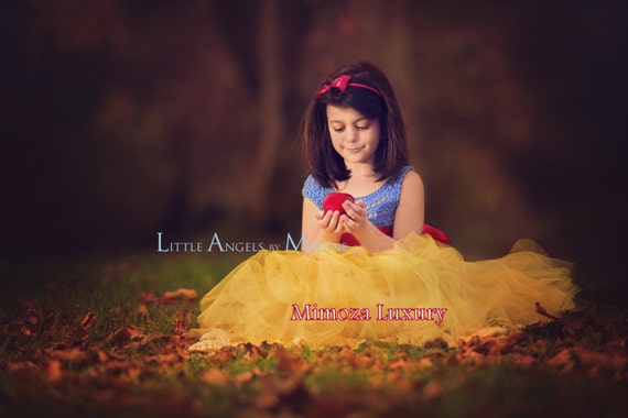 Snow White Luxury Princess dress, Flower girl dress, tutu dress, blue crochet top yellow tulle dress, knit tutu dress snow white