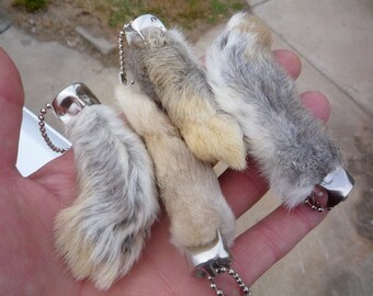 Lucky Rabbit's Foot genuine rabbit's feet key chains qty 4 feet for good luck