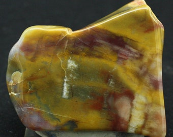 Petrified Wood, Arizona - Mineral Specimen for Sale