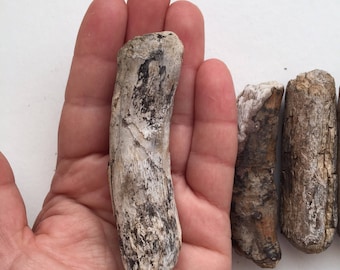 9 small driftwood sticks