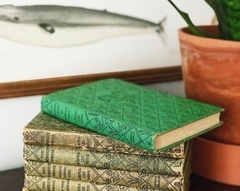 Set of 6 Bobbsey Twins Books