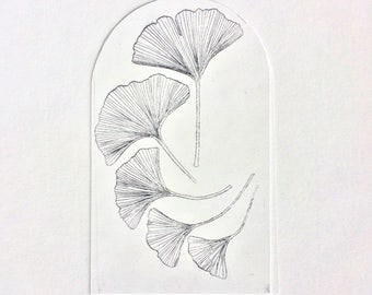 Ginkgo leaves, Ginkgo art print, Ginkgo wall art, botanical wall art, Ginkgo botanicals, drypoint etching, ginkgo illustration, leaf art