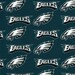 Philadelphia Eagles Fabric- NFL - 100% Cotton High Quality Fabric- by Fabric Traditions