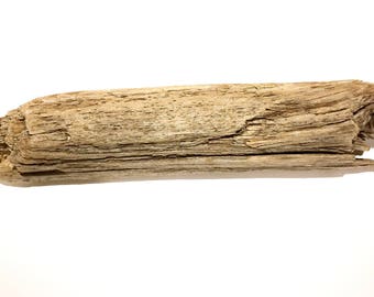 Drift wood chunk, Amazing driftwood piece really Authentic selected 1.5' long natural Massive Drift wood chunk 50 cm long