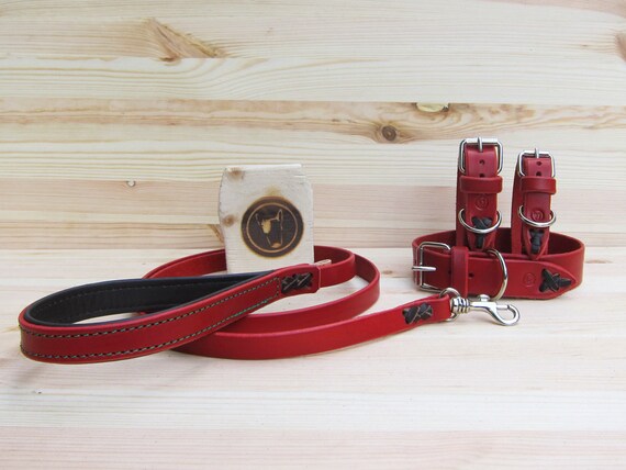 Dog Collar and Leash Set in Red Leather, Comfort Adjustable Collar and Strong Classic 4 Foot Colorful Leash, Soft Grip Walking Lead