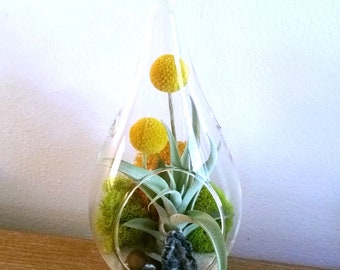 Large 8.5" Air Plant Terrarium Kit Hanging Terrarium Crystal Geode Tiger Eye New Home Gift Birthday Gift