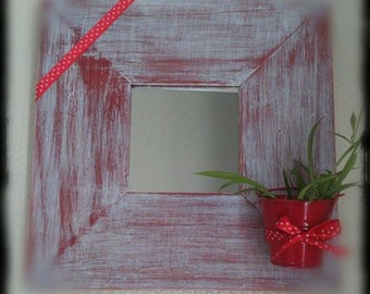 Small mirror door plant