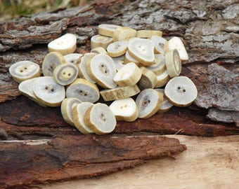 Buttons, Natural Whitetail Deer Antler Buttons, Bone Buttons, Lot of 10, Rustic Sewing, Woodland Decorative Natural Crafting, Eco-Friendly