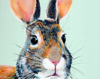 Fancy Cottontail Rabbit Wall Art