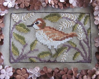 Birds of a Funky Feather 12