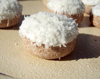 Organic Dog Treats - Snowballs - All Natural Dog Treats Organic Vegetarian - Shorty's Gourmet Treats