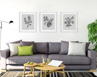 Botanical Print Set, Flower Prints, Set of Prints, Botanical Wall Art, Wall Art Prints, Flower Wall Art, Grey Prints, Prints, Wall Art Set