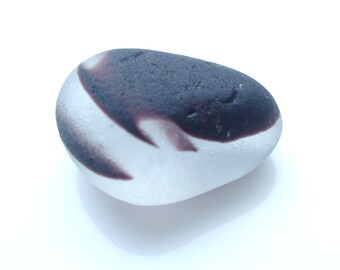 Collectors Seaglass - Mulberry Multi Nov04 - from Seaham beach, UK
