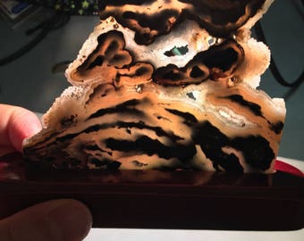 Beautiful Polished Agate Slice with Wood Base