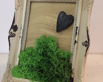 Artistic picture frame with stabilized moss