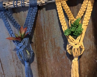 Macrame Plant Hanger