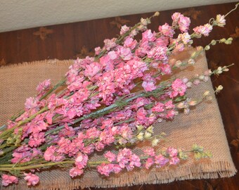 Dried Larkspur, Pink Larkspur, Dried Flowers