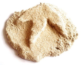 Dinosaur footprint reproduction plaster dino genuine dinosaur Jurassic Cretaceous trace fossil palaeontology fossils