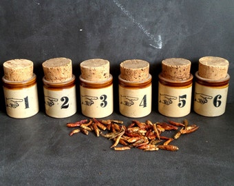 6 ceramic Jars with Cork Lid, Rustic kitchen Canisters. 6 Spice Herb jar set numbered