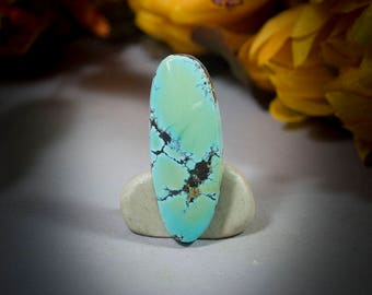Hubei Turquoise Cabochon 40-4693