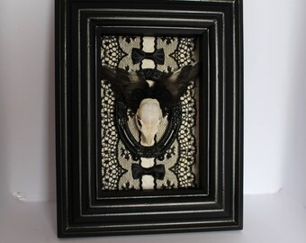Taxidermy Skull with Wings