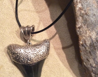 Shark’s tooth