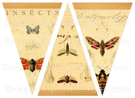 Items similar to Printable Insect Banner, DIY Bunting, Pennant ...