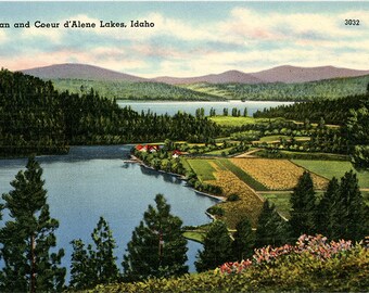 Fernan & Lake Coeur d'Alene Lakes Idaho Vintage Postcard (unused)