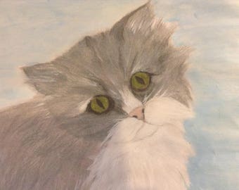 Fancy Kitty, pictures, Cat lovers, Animal lovers