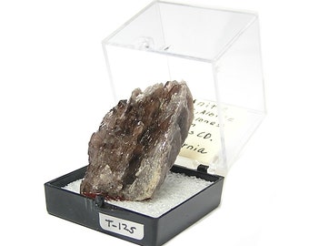 Axinite, Rare brown violet crystal cluster mined in California from an estate collection. Thumbnail Mineral Specimen in museum display box