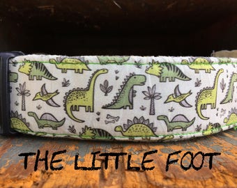 Boy Dog Collar with Green Dinosaur Print "The Little Foot"
