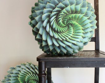 Spiral Succulent decorative pillow made to order (Aloe polyphylla)