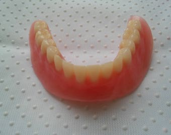 Denture Lower Acrylic Teeth