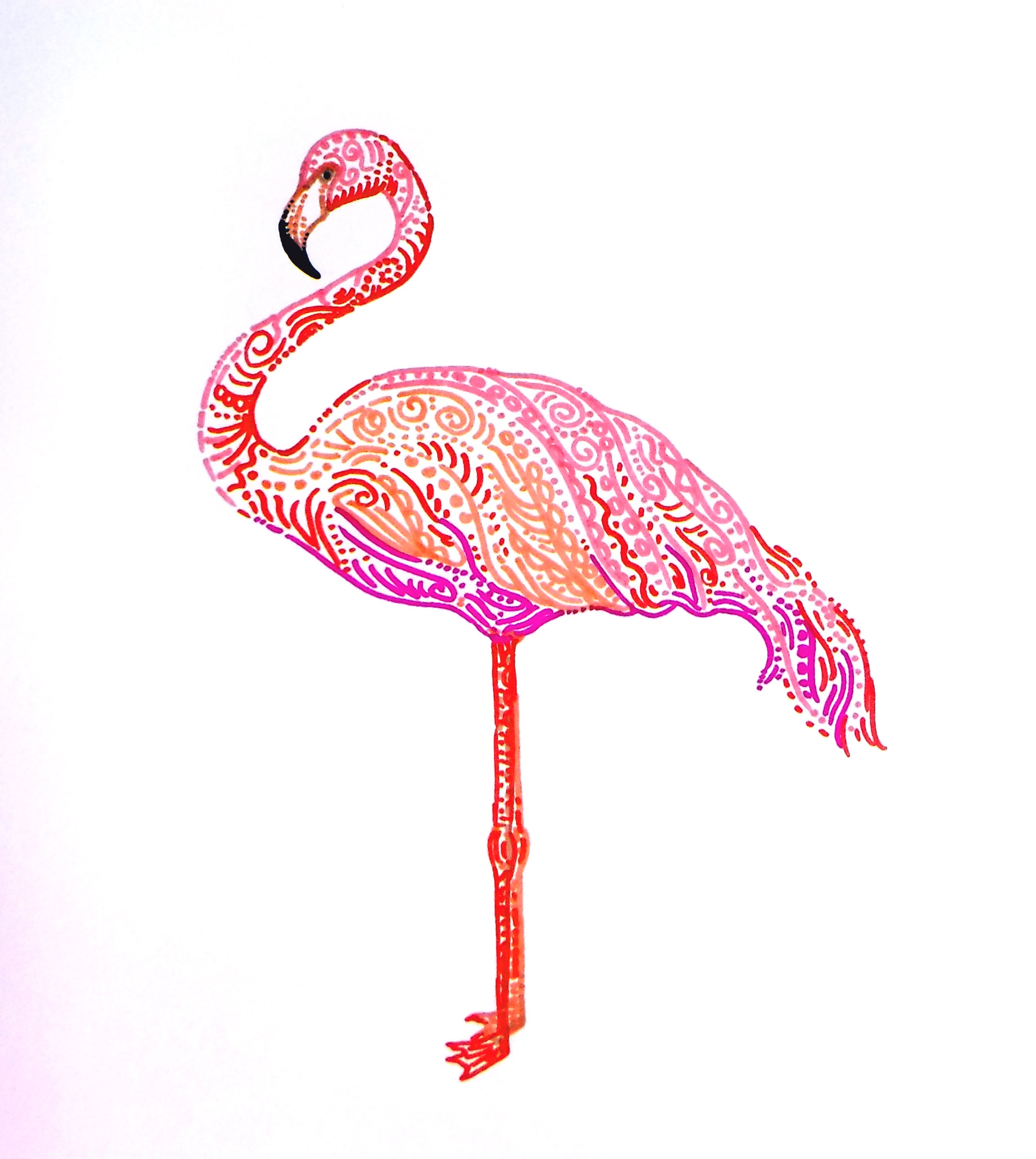 Раскраска антистресс Фламинго