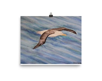 Albatross art | Etsy