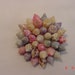 Vintage Real Seashell Brooch 18 - 612