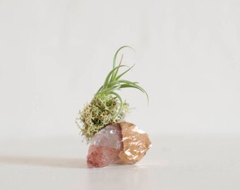 Air Plant Terrarium, Airplant Holder, Air Planter, Boho Decor, Air Plant on Crystal, Gold Dipped Pink Quartz, Bedroom Decor, Gift For Friend