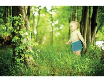 interlock wool cover - dioptase teal - cloth diaper cover soaker - merino wool interlock pull up diaper cover