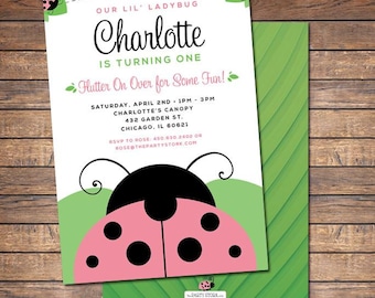 Ladybug Invitation / Printable Pink Ladybug Invite / 1st Birthday Ladybug Invitations / Girls Birthday Party Invites