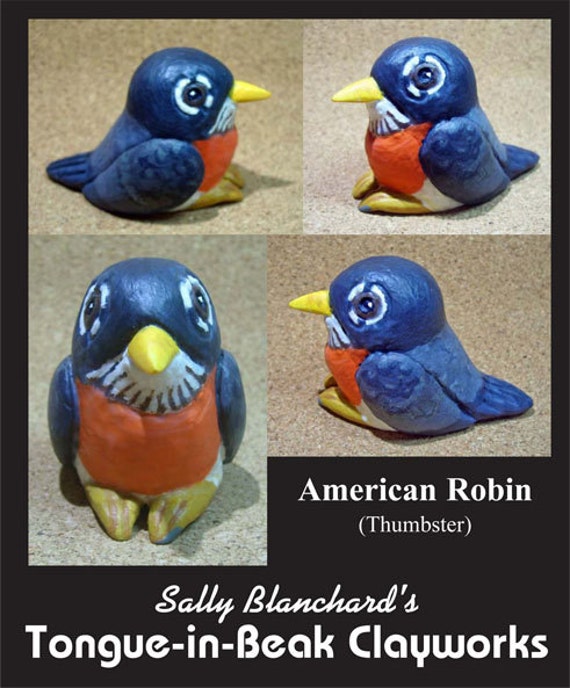 American Robin - Sally Blanchard's Tongue-in-Beak "thumbster"