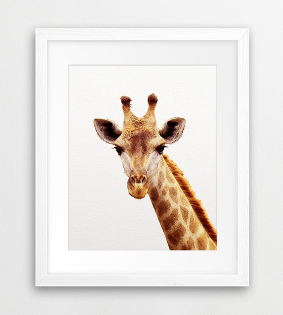 Dynamite image within printable giraffe Challenger image for printable giraffe